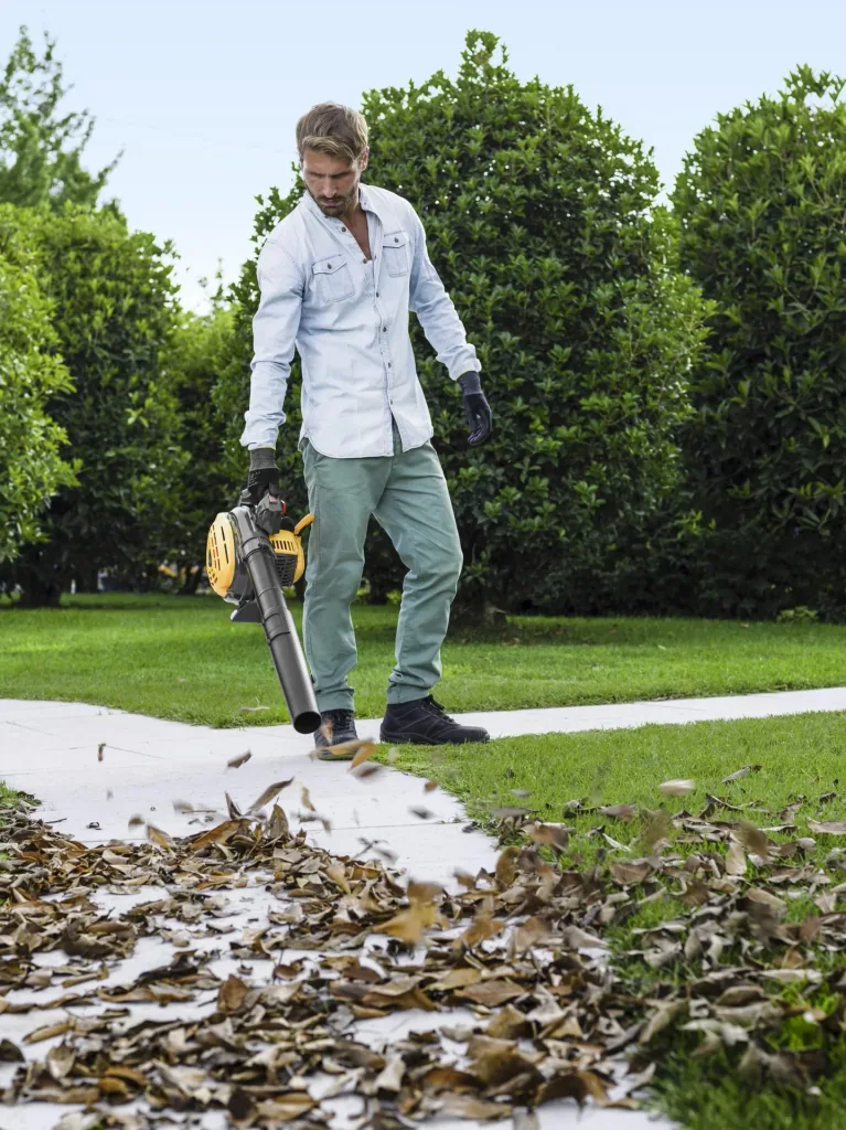 Petrol leaf blower BL 530 V