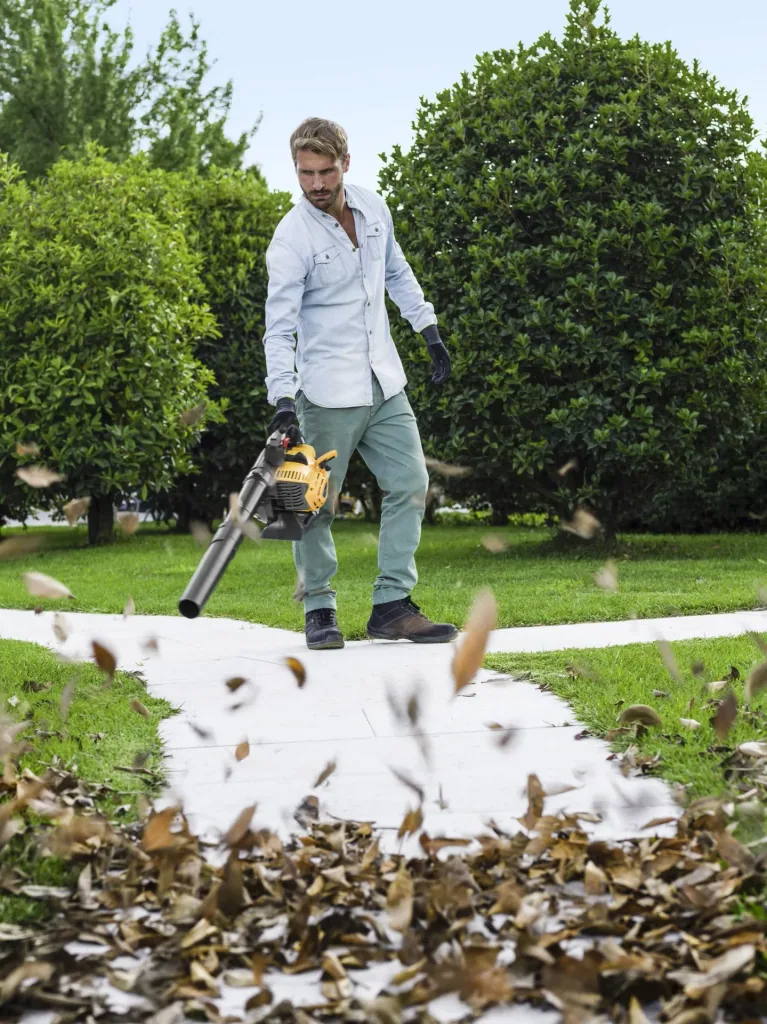 Petrol leaf blower BL 530 V