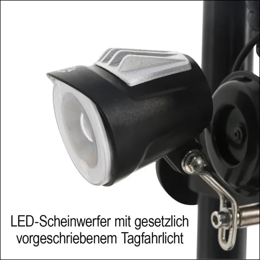 E-Roller "Revoluzzer" Basic 20 km/h schwarz
