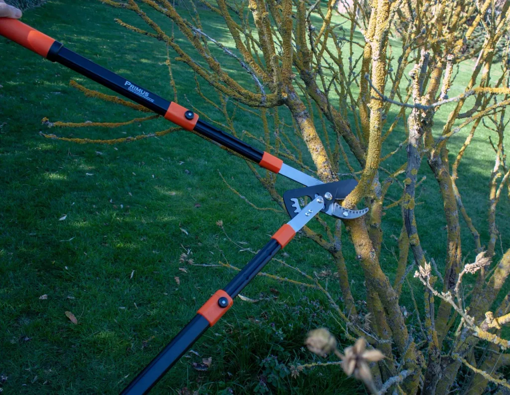 Power geared pruning shears