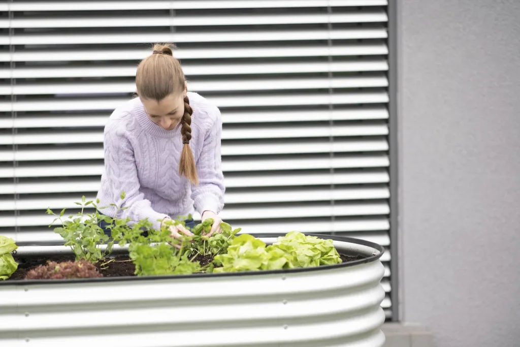 Carré potager surélevé Grow Faster, 240×80×82 cm, argent – métal en tôle ondulée galvanisée