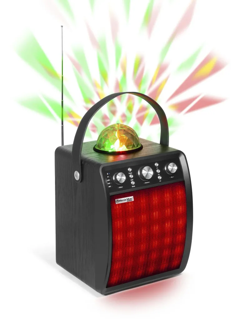 Disco speaker with microphone