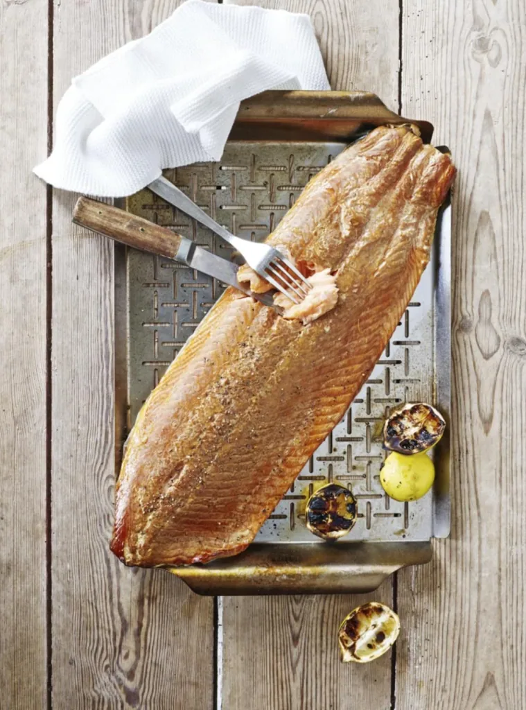 Deluxe grill pan stainless steel