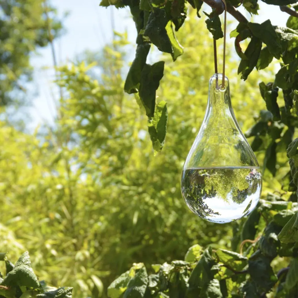 Fly repellent