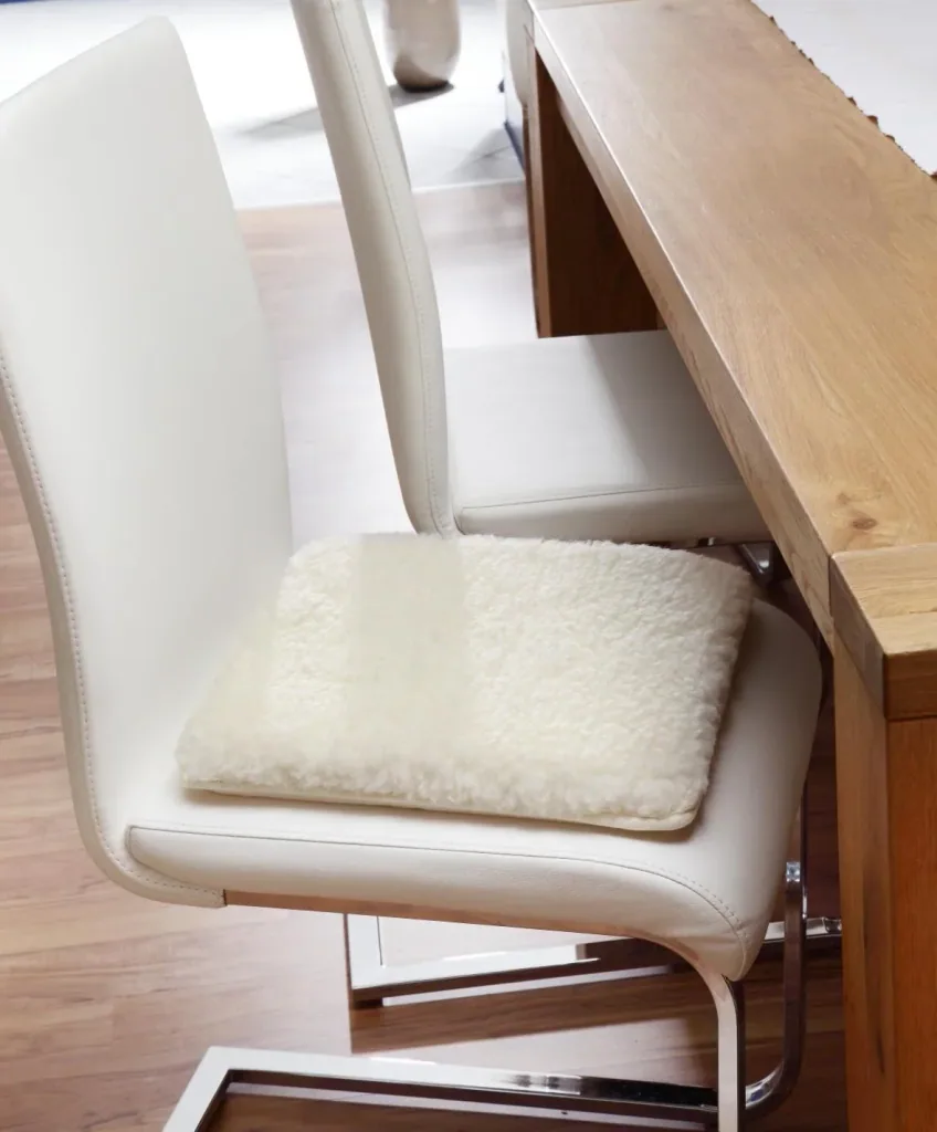 Premium reversible pillow