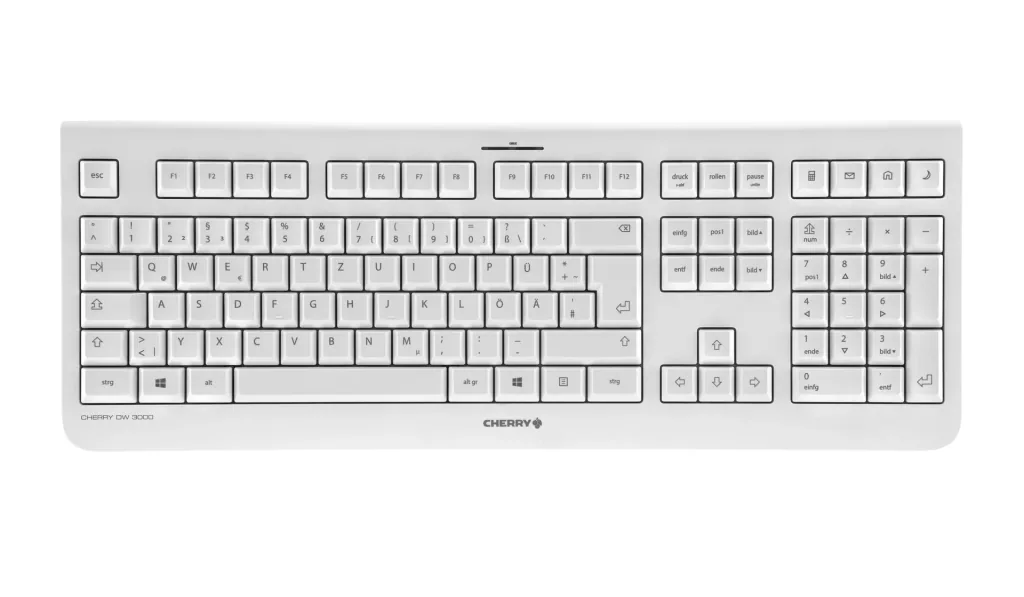 Wireless keyboard and mouse set DW 3000 gray