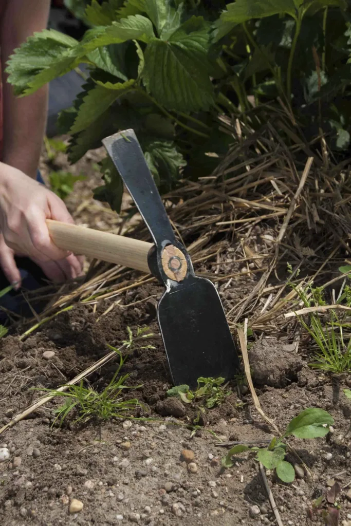 Raised bed small hook "65209"