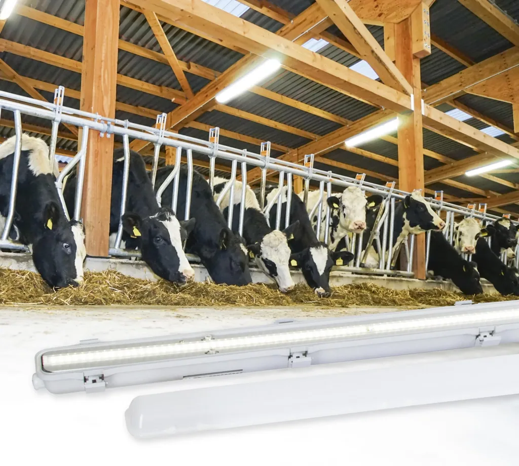 LED moisture-proof light "FarmSTAR", IP 65, 121 cm