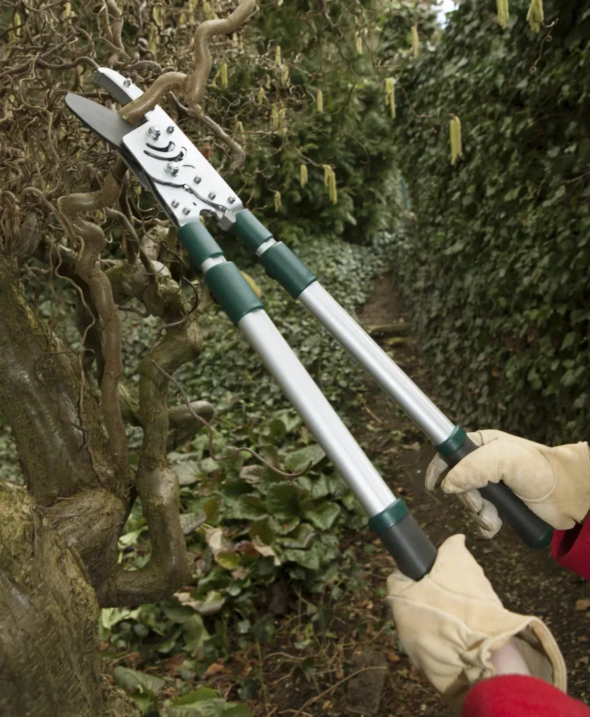 Ébrancheur à enclume à cliquet avec manche télescopique, 50 mm de capacité de coupe