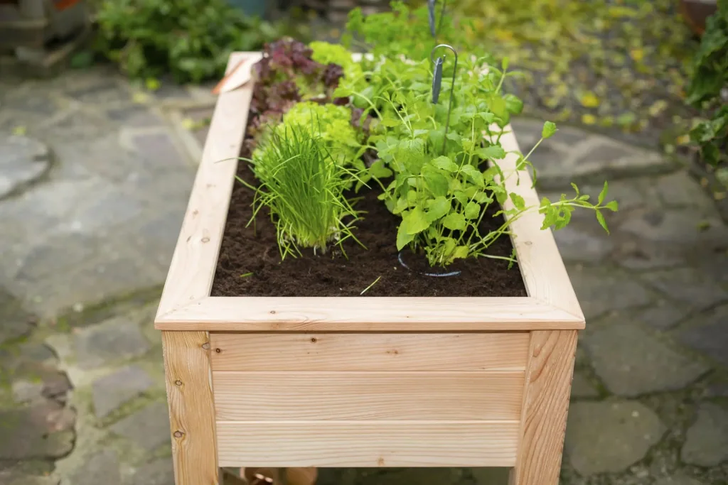 Westmann Carré potager surélevé Emily sans fond