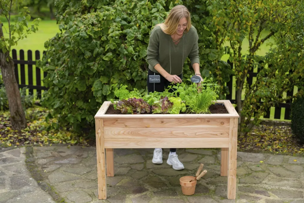 Westmann Carré potager surélevé Emily sans fond