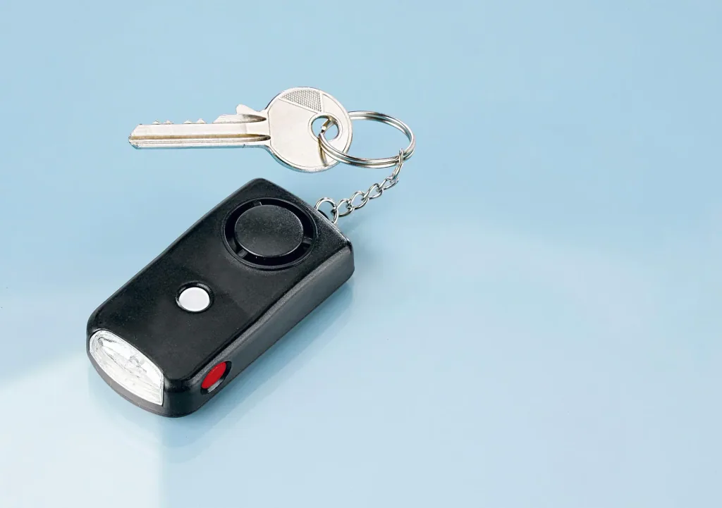 Alarm keychain