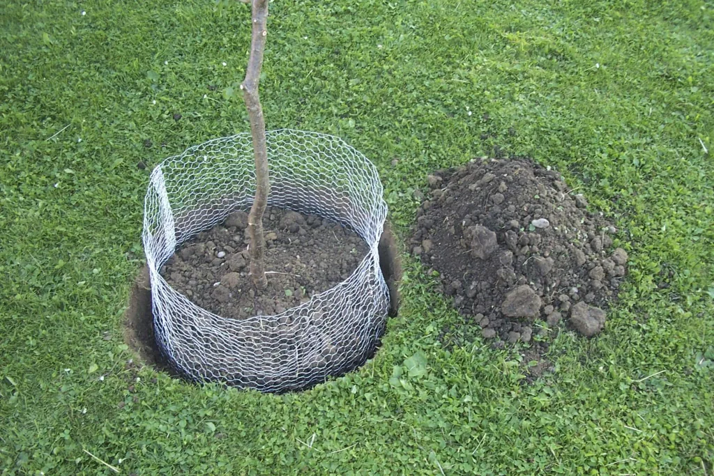 Vole basket ungalvanized, small, 35 cm
