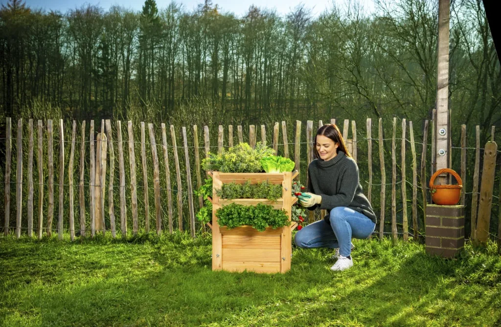 Westmann Premium Carré potager surélevé L, 65 x 65 x 73 cm