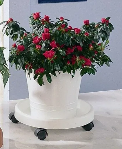 Plant trolley, white