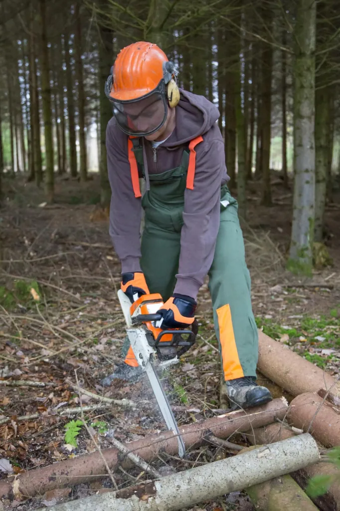 Forester chainsaw gloves size 10/XL