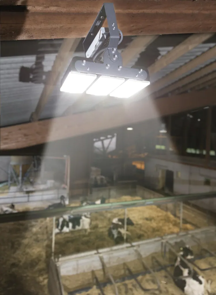 150 W Multi LED stable light, 3 modules 19,500 lumens, IP65 / D-mark