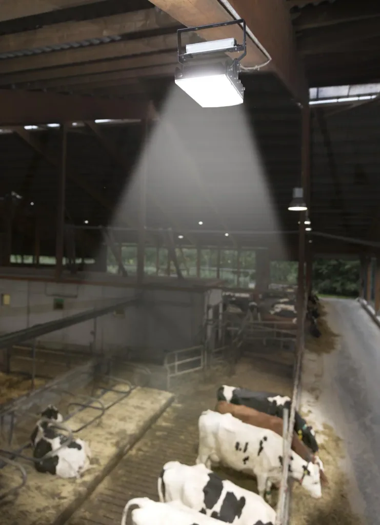 150 W Multi LED stable light, 3 modules 19,500 lumens, IP65 / D-mark
