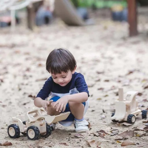 Pelleteuse Enfants Bois de Plan Toys Bagger