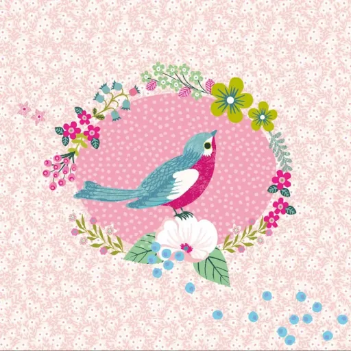 Djeco Boîte à bijoux avec boîte à musique Oiseaux