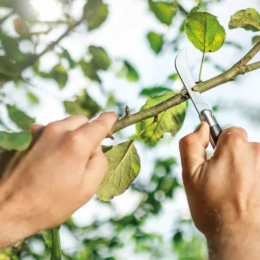 Greffoir de Jardin Pliant, Couteau à Greffer Professionnel