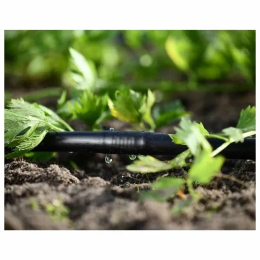 Collier de serrage pour système d'irrigation goutte-à-goutte HYDRO 10 pièces