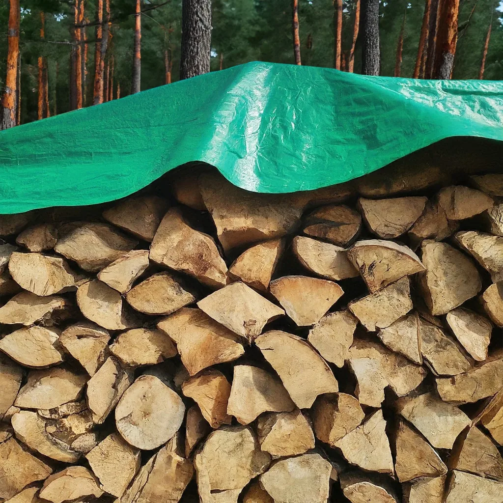 Bâche 650g, 6x10m (60m²) – Protection étanche PVC verte, résistante