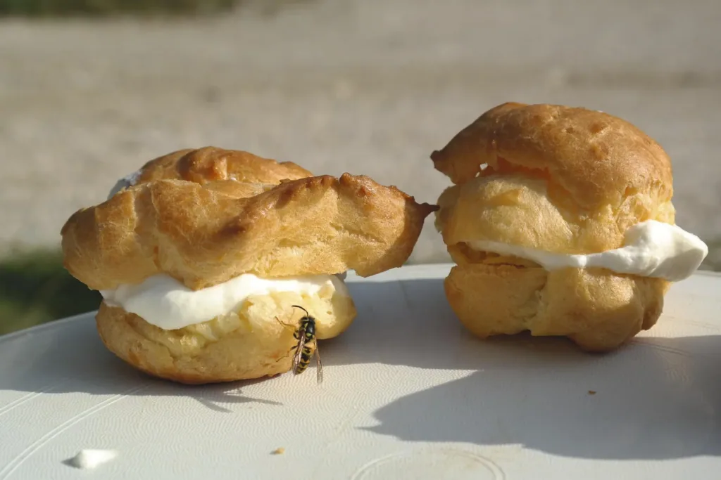 Leurre de nid de guêpes, lot de 2