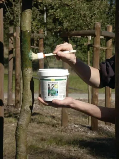 Colle contre la chenille du carpocapse du poirier, l'hyponomeute 500 g