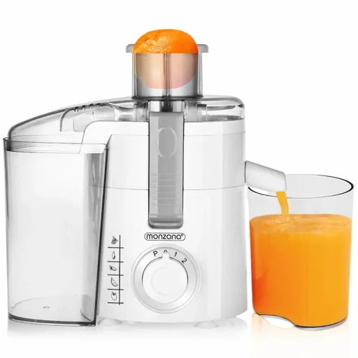 Juicer Plastic