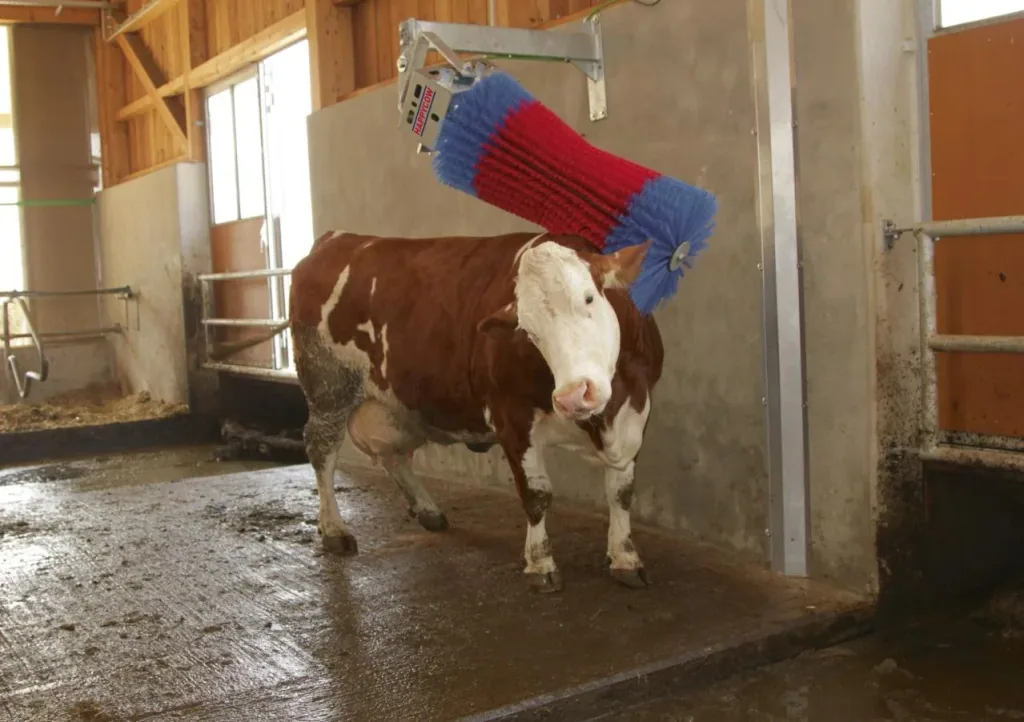 Kuhputzmaschine HappyCow Maxi Swing