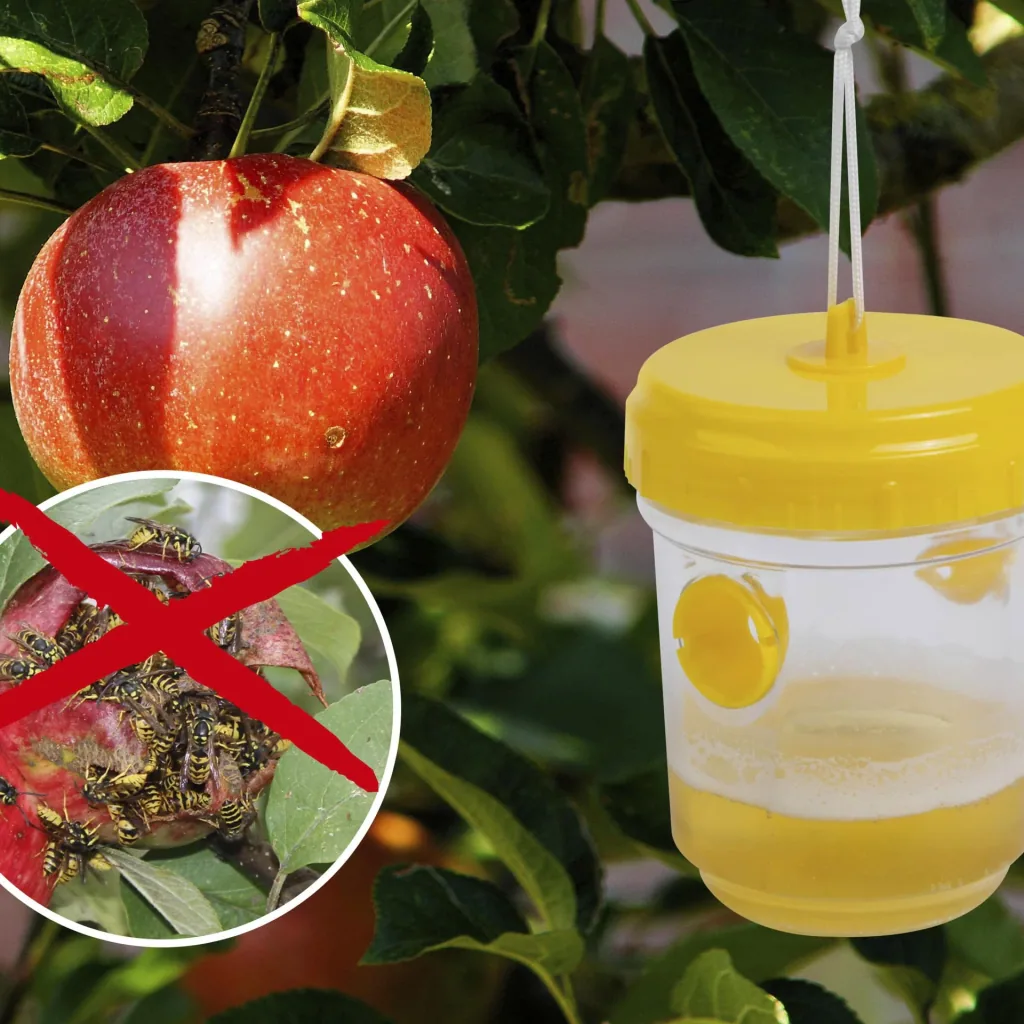 Wasp trap set of 2