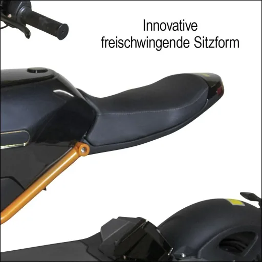 Design E-Roller "Max" 45 km/h schwarz