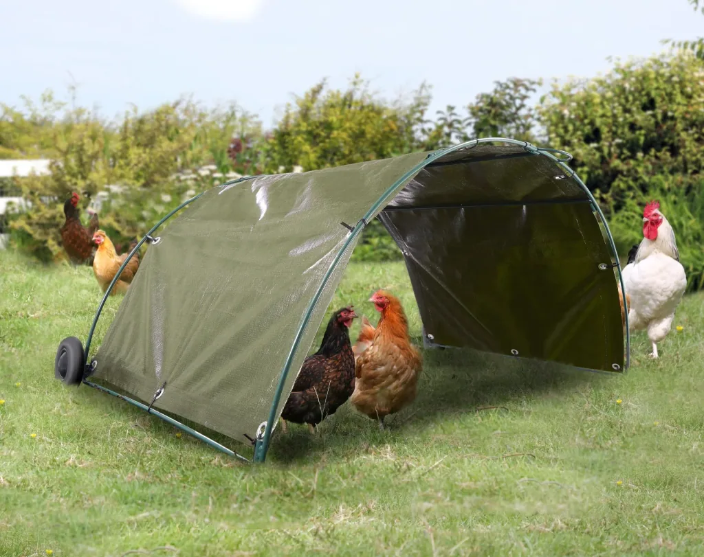 Cold frame + chicken tunnel starter set