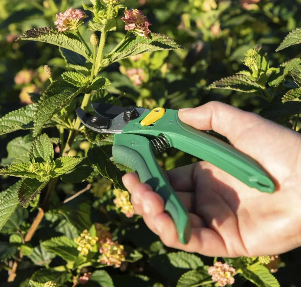 One-handed garden shears