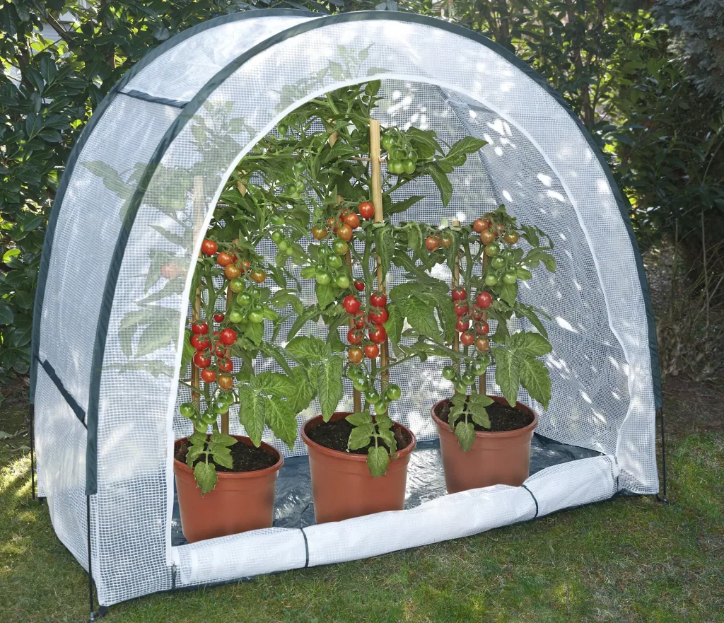 Growing and overwintering tent, 200 x 80 x 170 cm