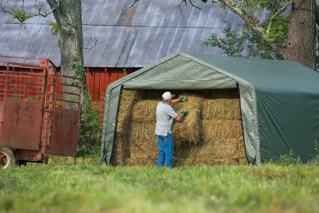ShelterLogic Abri de pâture 23,18 m², vert