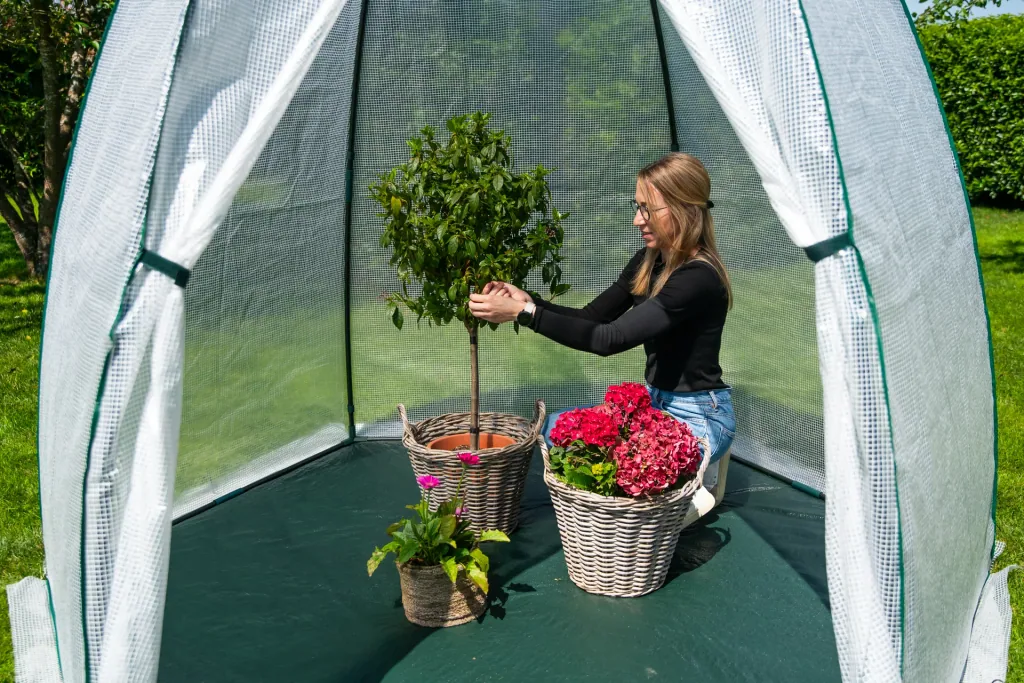 Polytunnel greenhouse winter tent avocado