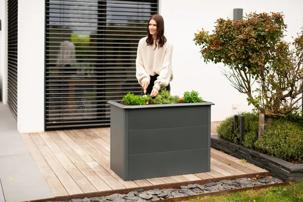 Westmann Jardin surélevé Primus M Métal anthracite