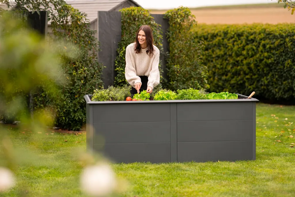 Westmann Jardin surélevé Primus XL Métal anthracite