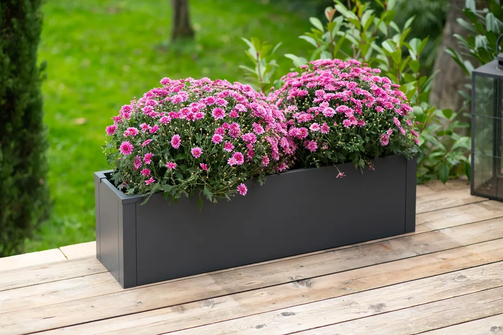Westmann Bac à plantes Talus M Métal anthracite