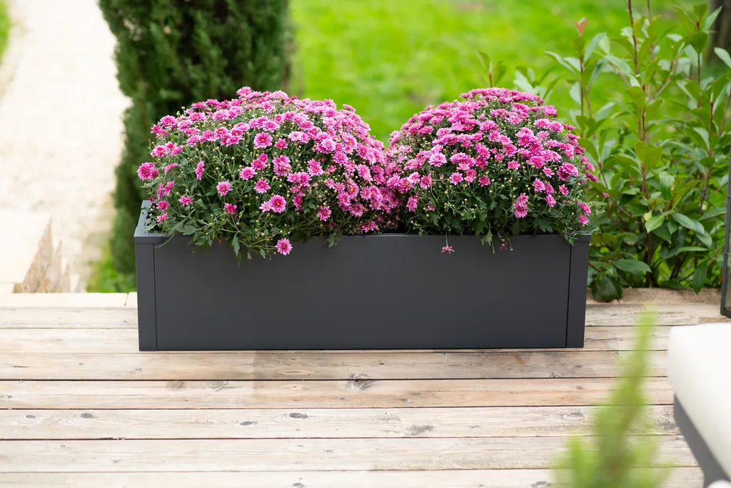Westmann Bac à plantes Talus M Métal anthracite