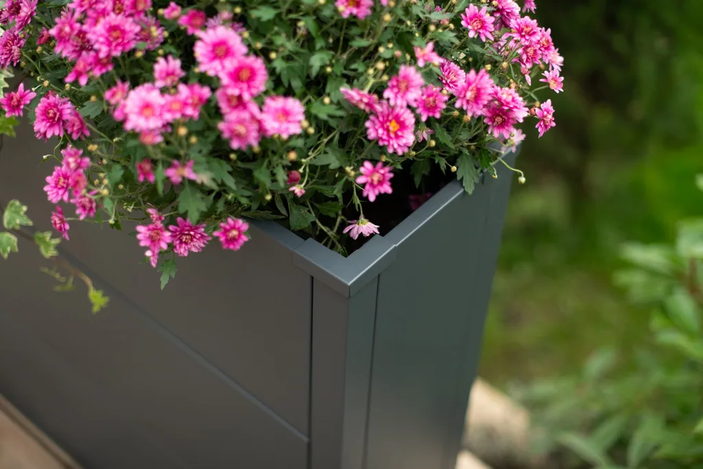 Westmann Bac à plantes Talus XL Métal anthracite