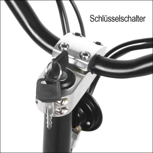 E-Roller "Revoluzzer" Basic 45 km/h schwarz