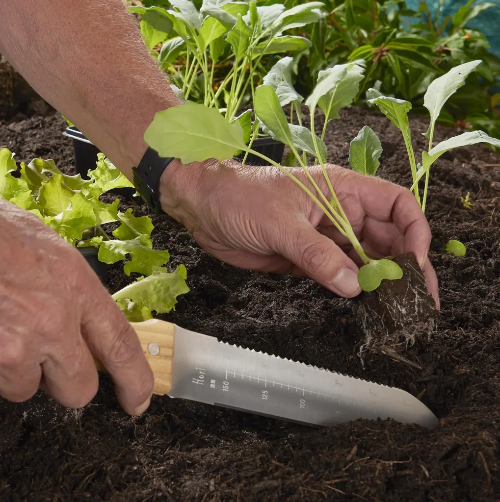 Hori Hori Gartenmesser