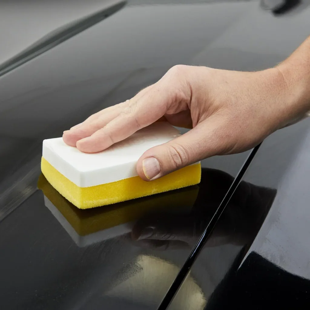 Application sponge 10 g
