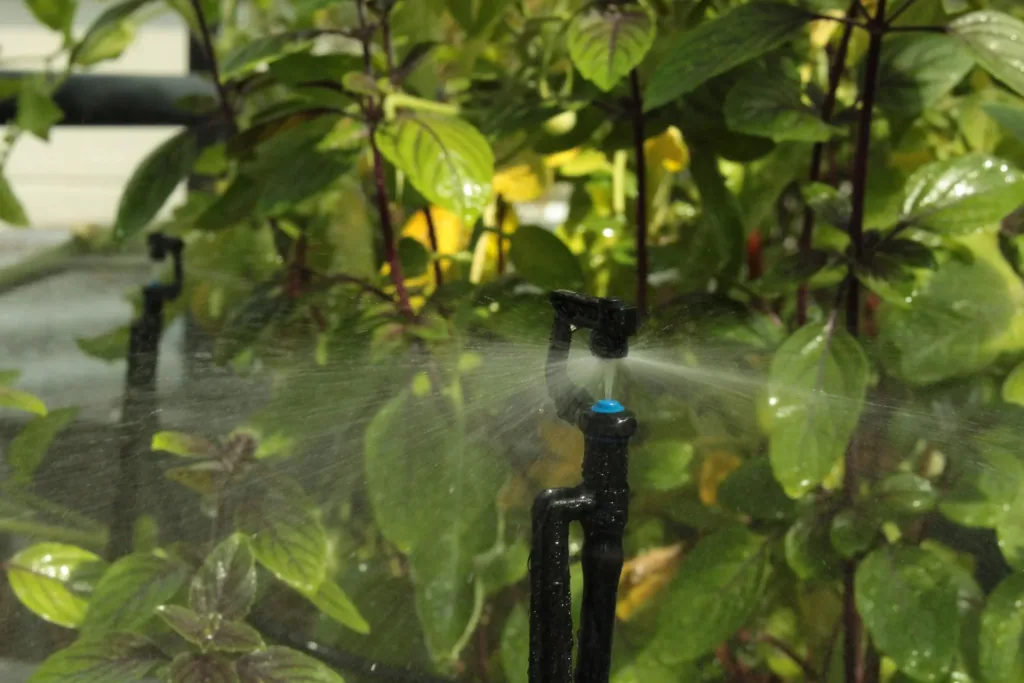 Irrigation system 5 to 8qm (MGS48)