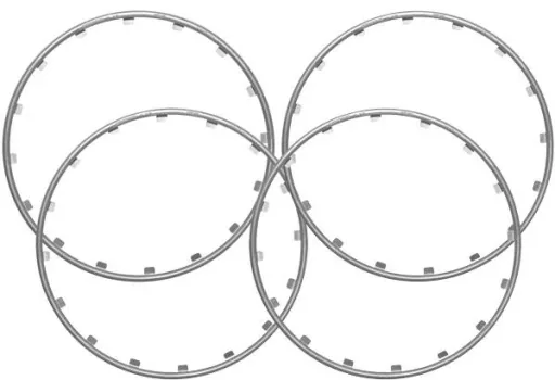 Rim Ringz rim ring, 16 inches, color silver