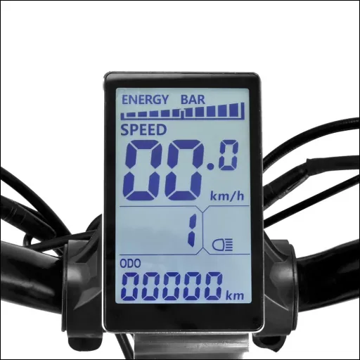 E-Roller "Evoking" Basic 20 km/h schwarz