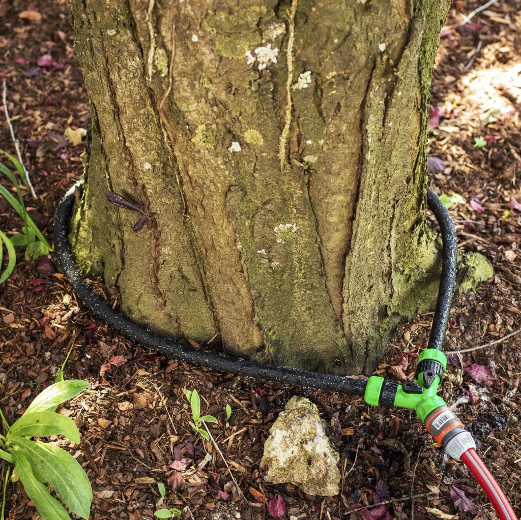 Irrigation ring drip hose